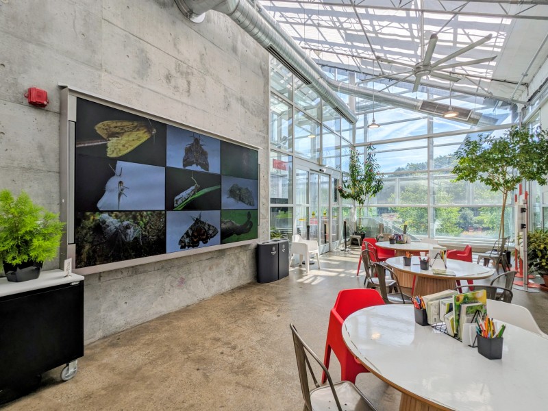 Salle Insectarium - Atelier créatif – Ville de Montréal - Espace pour la vie, Montréal