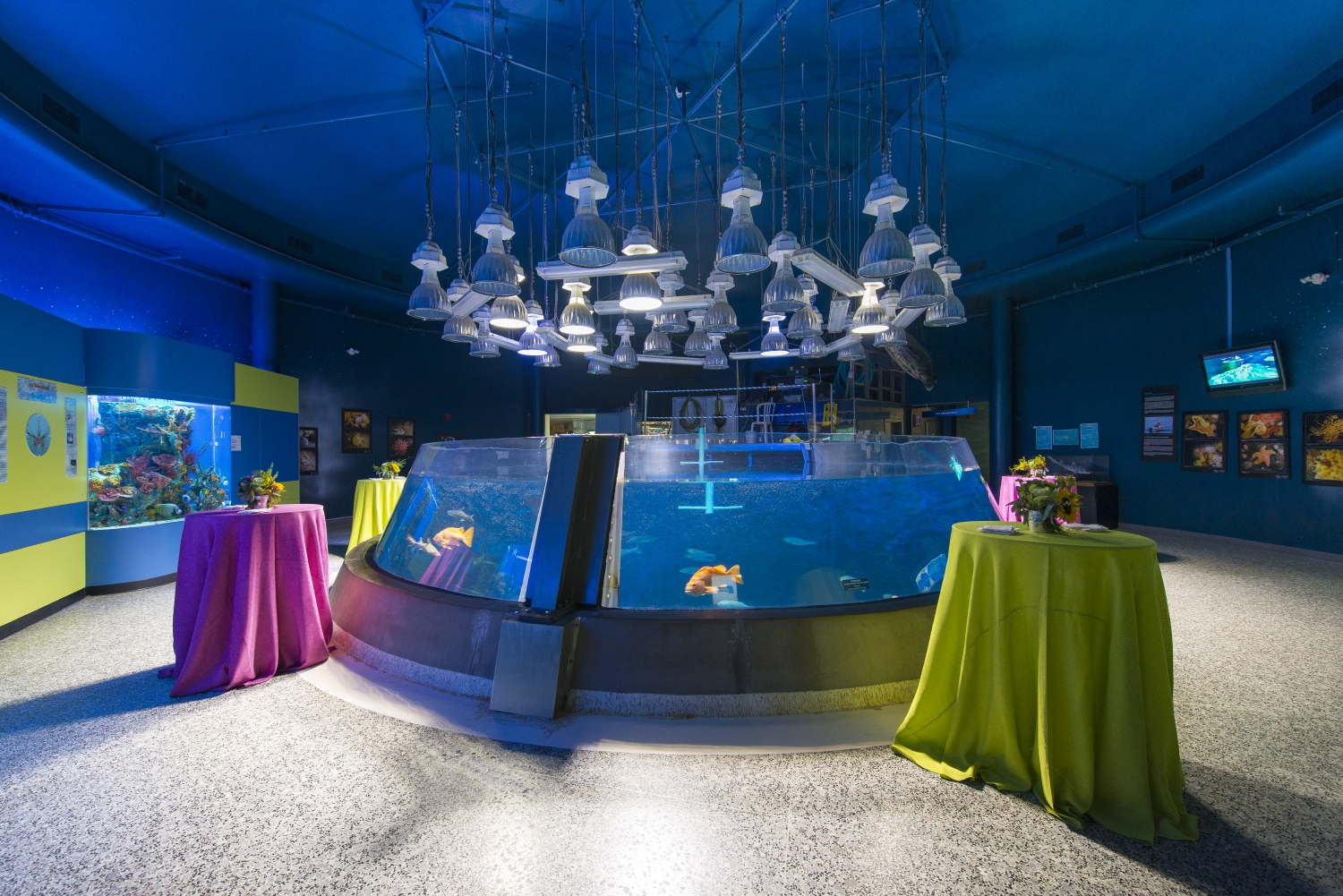 ALSQ Aquarium du Québec La Zone côtière Québec Québec